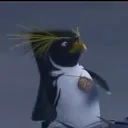 sammyguy_