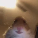 arrenek