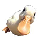 naluyluka