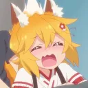 akki.mw