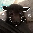 theradicalcat