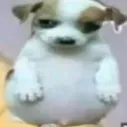 marcianohacker