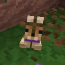 .t3ddy_b3ar