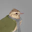 rainspells_