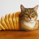 avatar соня винтер эдишн