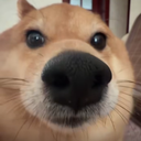 phamdangkhoa250218's avatar