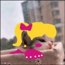 avatar Chef/Judge Rosa