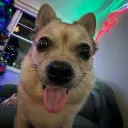 srupcicle