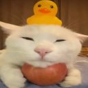 avatar Anastasia🍒