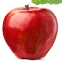 apples5837
