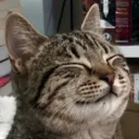 itsbluxy