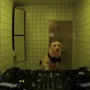 maxermusic