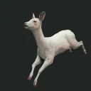 beniekbernardyn avatar