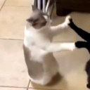 avatar ᵏᶤᵐ-ᵐᵃʳᶤᵉ