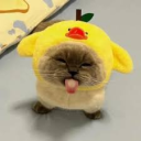 avatar ᵏᶤᵐ-ᵐᵃʳᶤᵉ