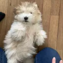 Photo de julestrackmania