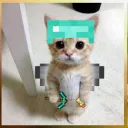 77__3