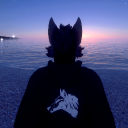 avatar henrique