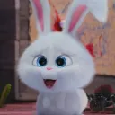 pioxrav