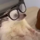 bryanmax9