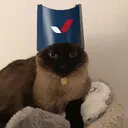 thefoxdead