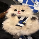 helixocat