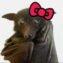 avatar ⛧°｡⋆༺ 𝑑𝑟𝑎𝑐𝑢𝑙𝑜𝑟𝑖𝑒 ༻⋆｡°⛧