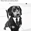.scarxd