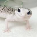 https://cdn.discordapp.com/avatars/700763596212404296/f712f3d526ef9602fd84cfb86a7c466c.jpg?size=128