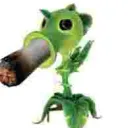 gabarda
