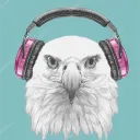 embodyaudioeagle