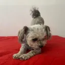 sebas_.n