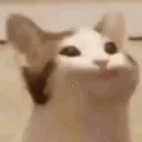 priyanzhuu avatar