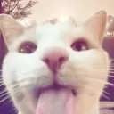 1n4rr