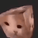 gopuma