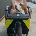 yorkiebar