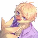 sapok_furryer