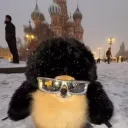 dckazan