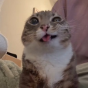 avatar 𝘼𝙗𝙙𝙪𝙡𝙡𝙖𝙝