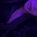 xanxe.