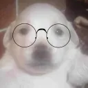 rxnzxh avatar
