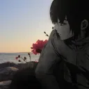 akii_se