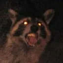 midnightmaraudersprogram