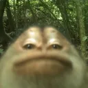 slothmandude