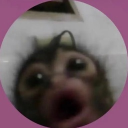 avatar els ★‧₊˚