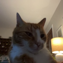 hilberto
