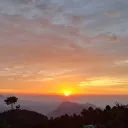 thisisnormalwealreadytoldyou avatar