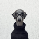 avatar ☆∴｡* 　･ﾟ｡★･ ･ﾟ☆｡ *　･　　ﾟ☆