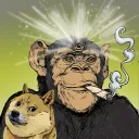 stateofape