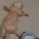 kttrxn